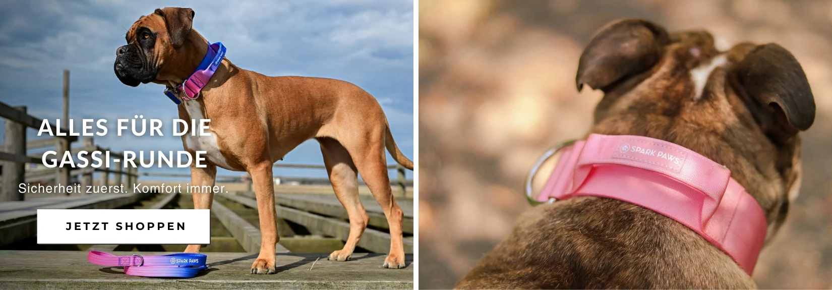 Stilvoller Partnerlook für Hund & Mensch