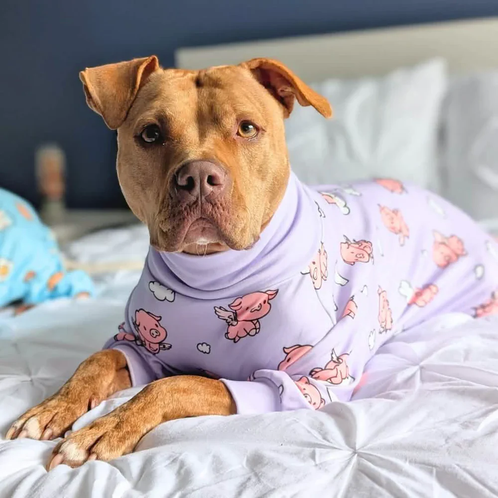 Produktbild 12